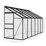 vidaXL Greenhouse Anthracite Aluminum 262.7 ft³ | Spacious and Sturdy