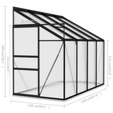 vidaXL Greenhouse Anthracite Aluminum 185 ft³ - Protect Your Plants in Style