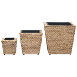 vidaXL Garden Raised Beds 3 pcs Water Hyacinth - Rustic-Style Planters for Your Home