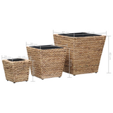 vidaXL Garden Raised Beds 3 pcs Water Hyacinth - Rustic-Style Planters for Your Home