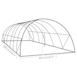 vidaXL Greenhouse 258.3 ft² - Protect Your Plants in Style