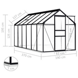 vidaXL Greenhouse with Base Frame Anthracite Aluminum - Protect Your Plants from the Cold