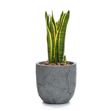 Crackle Gray MgO 14.6" Round Planter - Rustic Mid-Century Modern Design