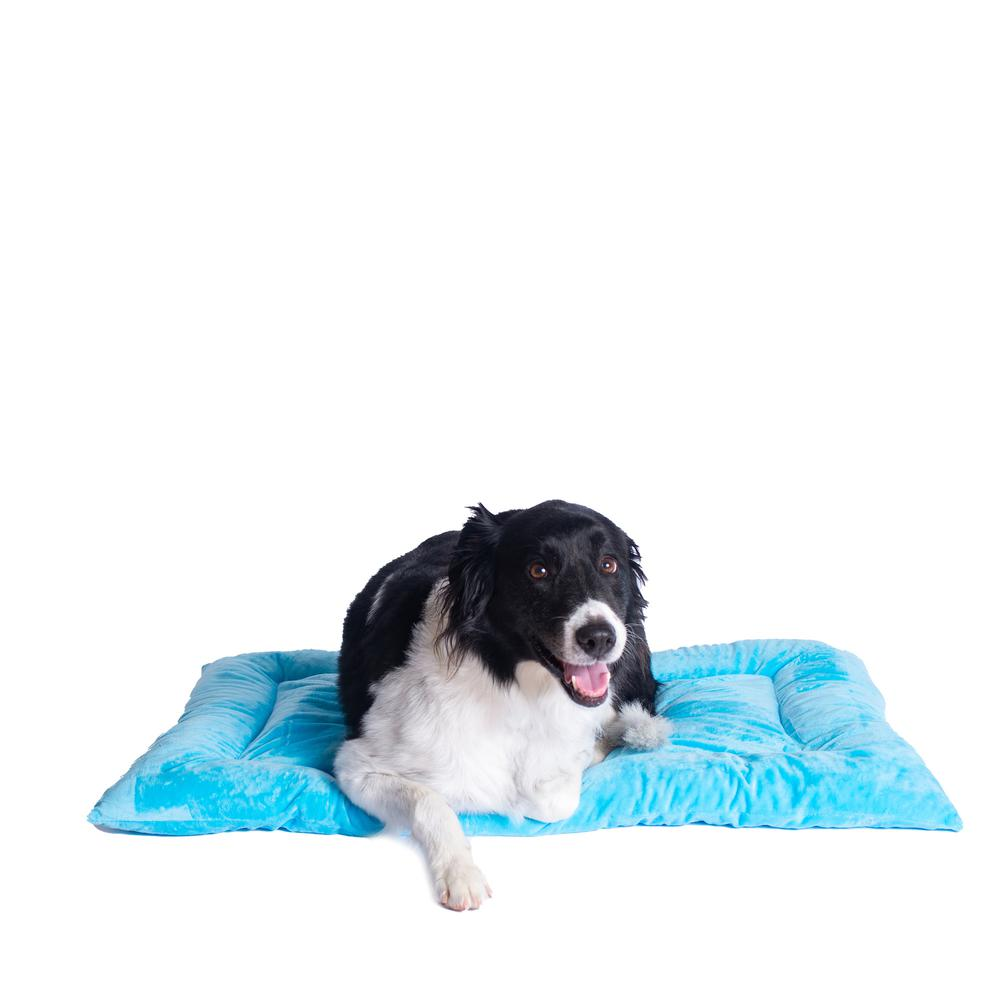 Armarkat Model M01CTL-L Large Pet Bed Mat with Poly Fill Cushion in Sky Blue