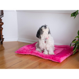 Armarkat Model M01CZH-M Medium Pet Bed Mat with Poly Fill Cushion in Vibrant Pink