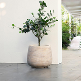 Distressed Tan MgO Tapered Round Planter - Contemporary Style for Indoor and Outdoor Use