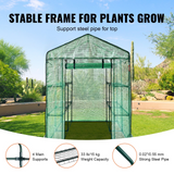 VEVOR Walk-in Green House, 4.6 x 4.6 x 6.6 ft, Greenhouse with Shelves and Zipper Door