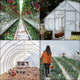 VEVOR Greenhouse Film 15 x 40 ft | UV Resistant Polyethylene Film