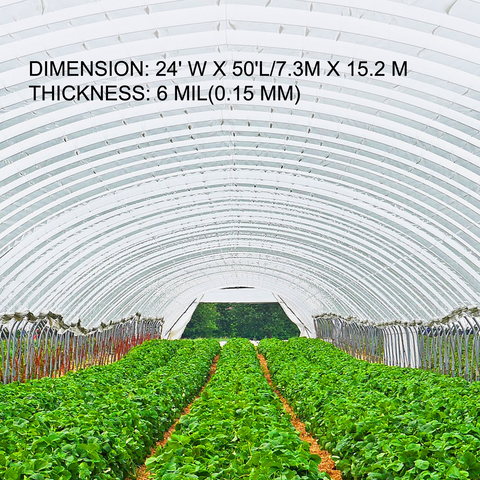 VEVOR Greenhouse Film 24 x 50 ft - Polyethylene Film for Superior Strength and UV Resistance