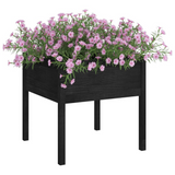 Garden Planter Black 27.6"x27.6"x27.6" Solid Wood Pine - Durable and Weather-Resistant