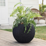 14.5" Round Bowl Plastic Planter, Mediterranean Black - Modern Style, Durable and Lightweight