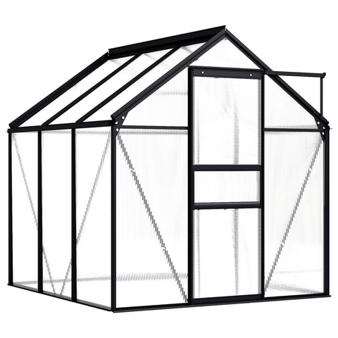 Greenhouse Anthracite Aluminum 38.9 ft² - Protect Your Plants in Style