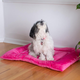 Armarkat Model M01CZH-M Medium Pet Bed Mat with Poly Fill Cushion in Vibrant Pink