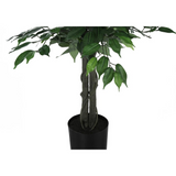 Artificial Plant, 58" Tall, Ficus Tree, Green Leaves, Black Pot - WhatYouNeedSales