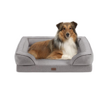 Martha Stewart Bella Pet Couch - Ultimate Support and Comfort for Your Pup