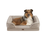 Martha Stewart Bella Pet Couch - Soft Memory Foam Dog Bed for Ultimate Comfort