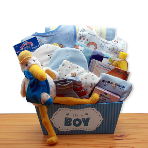 A Special Delivery New Baby Gift Basket - Blue - baby bath set -  baby boy gift basket - new baby gift basket - baby gift baskets - baby shower gifts - WhatYouNeedSales