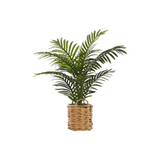 Artificial Plant, 24" Tall, Palm, Decorative, Green Leaves, Beige Woven Basket - WhatYouNeedSales