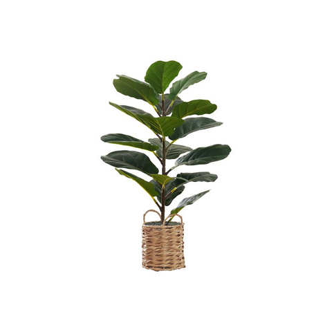 Artificial Plant, 28" Tall, Fiddle Tree, Green Leaves, Beige Woven Basket - WhatYouNeedSales