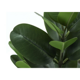 Artificial Plant, 28" Tall, Garcinia Tree, Decorative, Green Leaves, Black Pot - WhatYouNeedSales