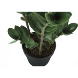 Artificial Plant, 29" Tall, Zz Tree, Decorative, Green Leaves, Black Pot - WhatYouNeedSales