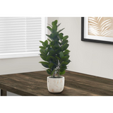 Artificial Plant, 31" Tall, Garcinia Tree, Green Leaves, White Cement Pot - WhatYouNeedSales