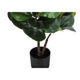 Artificial Plant, 49" Tall, Fiddle Tree, Decorative, Green Leaves, Black Pot - WhatYouNeedSales