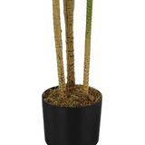 Artificial Plant, 51" Tall, Dracaena Tree, Decorative, Green Leaves, Black Pot - WhatYouNeedSales