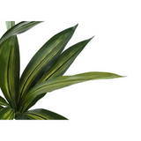 Artificial Plant, 51" Tall, Dracaena Tree, Decorative, Green Leaves, Black Pot - WhatYouNeedSales