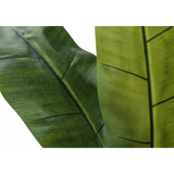 Artificial Plant, 55" Tall, Banana Tree, Decorative, Green Leaves, Black Pot - WhatYouNeedSales