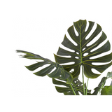 Artificial Plant, 55" Tall, Monstera Tree, Decorative, Green Leaves, Black Pot - WhatYouNeedSales