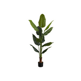 Artificial Plant, 59" Tall, Strelitzia Tree, Decorative, Green Leaves, Black Pot - WhatYouNeedSales