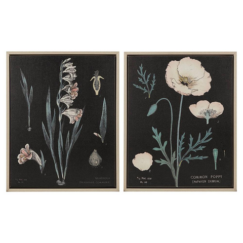 Botanical Contrast Framed Linen Canvas 2 Piece Set Black Multi 17.2x21.2x1.45"(2) Canvas size:16x20" - WhatYouNeedSales