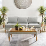 Capella Outdoor Wicker 2Pc Sofa Set Gray/Acorn - Sofa & Coffee Table - WhatYouNeedSales