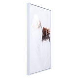 Delicate Feather Canvas Multicolor - WhatYouNeedSales