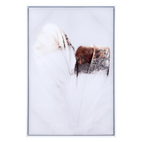 Delicate Feather Canvas Multicolor - WhatYouNeedSales