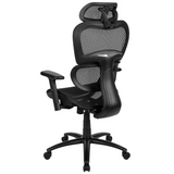 Ergonomic Mesh Office Chair with 2-to-1 Synchro-Tilt, Adjustable Headrest, Lumbar Support, and Adjustable Pivot Arms in Black - WhatYouNeedSales