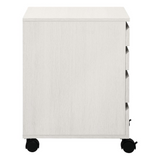 Holly Mobile Storage Cart - WhatYouNeedSales