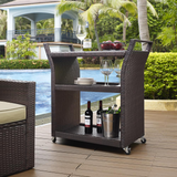 Palm Harbor Outdoor Wicker Bar Cart Brown - WhatYouNeedSales