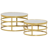 vidaXL 2 Piece Coffee Table Set Marble Brass and White - WhatYouNeedSales