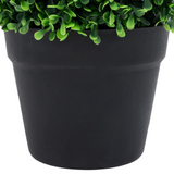 vidaXL Artificial Boxwood Plants 2 pcs with Pots Ball Shaped Green 10.6" - WhatYouNeedSales