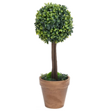 vidaXL Artificial Boxwood Plants 2 pcs with Pots Ball Shaped Green 13" - WhatYouNeedSales