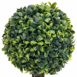 vidaXL Artificial Boxwood Plants 2 pcs with Pots Ball Shaped Green 13" - WhatYouNeedSales