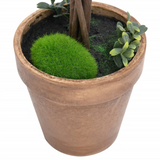 vidaXL Artificial Boxwood Plants 2 pcs with Pots Ball Shaped Green 13" - WhatYouNeedSales