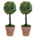 vidaXL Artificial Boxwood Plants 2 pcs with Pots Ball Shaped Green 13" - WhatYouNeedSales