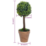 vidaXL Artificial Boxwood Plants 2 pcs with Pots Ball Shaped Green 13" - WhatYouNeedSales