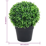 vidaXL Artificial Boxwood Plants 2 pcs with Pots Ball Shaped Green 14.6" - WhatYouNeedSales