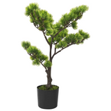 vidaXL Artificial Pinus Bonsai with Pot 23.6" Green - WhatYouNeedSales