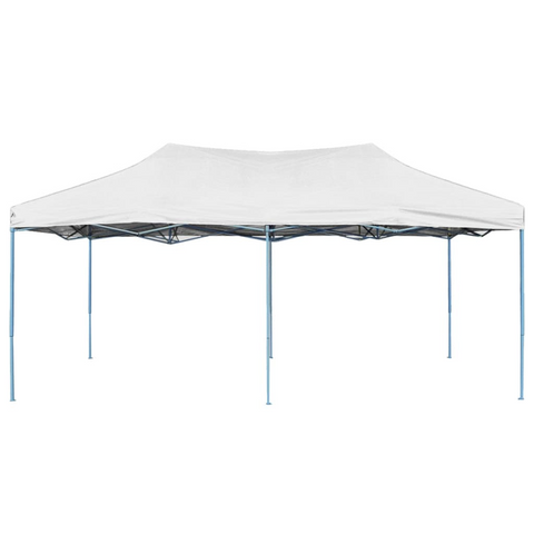 vidaXL Professional Folding Party Tent 9.8’x19.7’ Steel